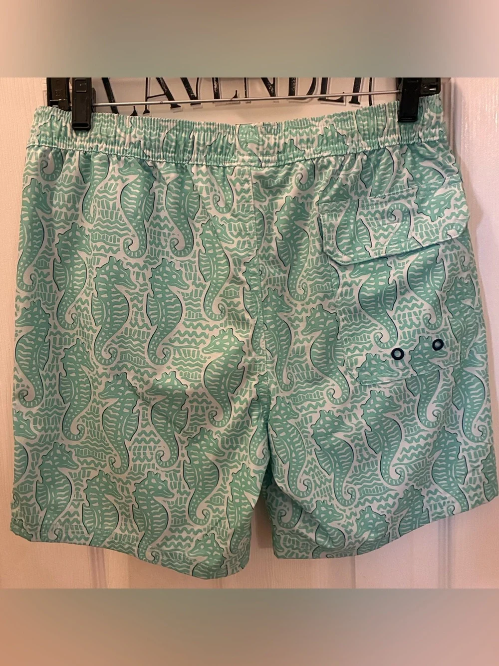 Vineyard Vines Turquoise Seahorse Swim Trunks with Drawstring